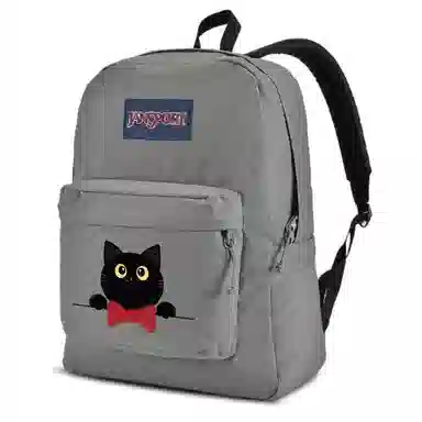JanSport 26L Logo