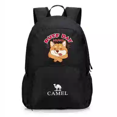 CAMEL 21L