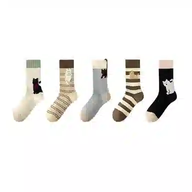 BANGBOY X IZTION 2025