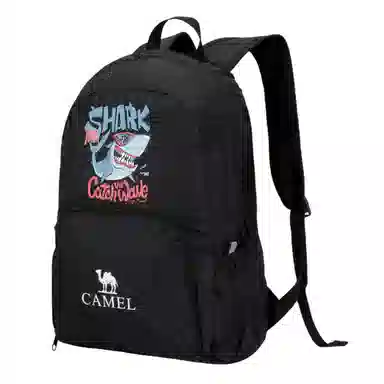 CAMEL 21L