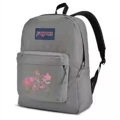JanSport 26L Logo