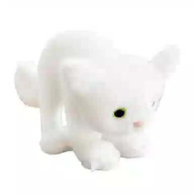 30cm