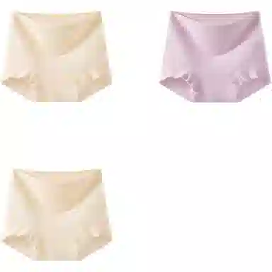 帕兰朵 无痕抗菌舒适平角内裤 女款
