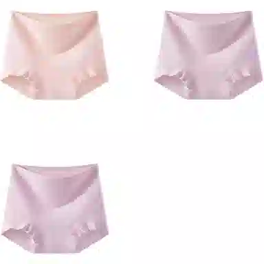 帕兰朵 无痕抗菌舒适平角内裤 女款