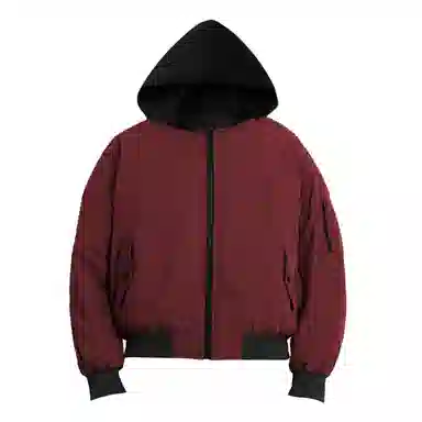 WSRX Vintage Hoodie Down Jacket
