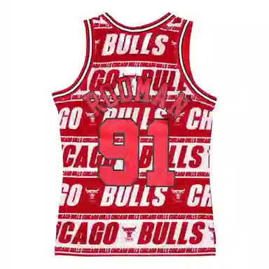 Mitchell Ness 91
