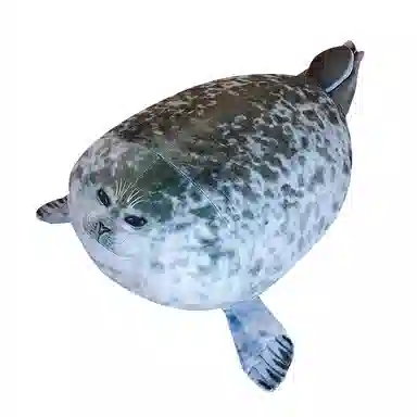 20cm30cm40cm50cm60cm