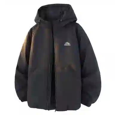 vitro 3D Snow Mountain Down Hoodie