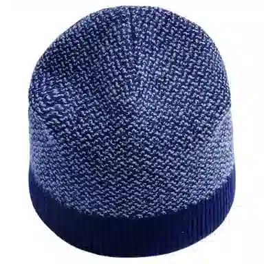 红豆 品牌简约针织保暖防风防寒冷帽 羔羊毛 绒线帽 男款