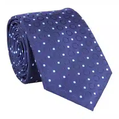 红豆 品牌礼盒款手打款求职面试结婚演讲正装休闲商务 聚酯纤维 领带 男款