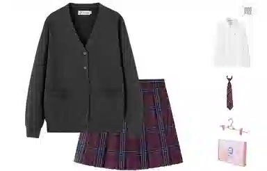 东鲸岁时记 气质百搭长袖上衣优雅清新短裙裙装套装 女款