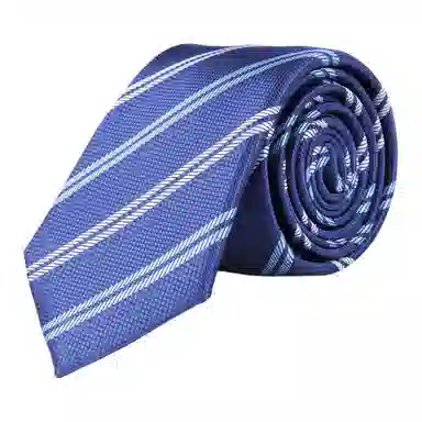 红豆 品牌礼盒款手打款求职面试结婚演讲正装休闲商务 聚酯纤维 领带 男款