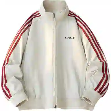 VGVX LOGO