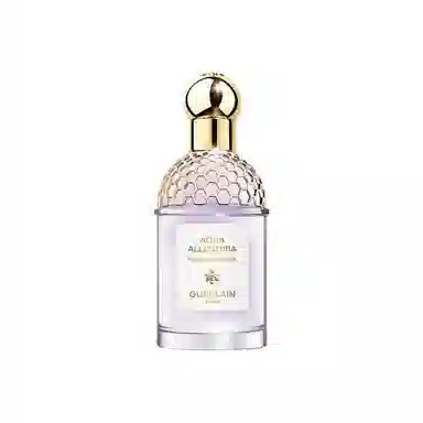 EDT EDT 30ml75ml125ml