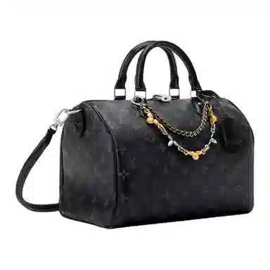 LOUIS VUITTON SPEEDY SOFT 30