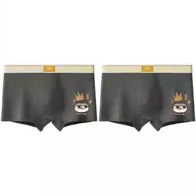 ADOONGA Cotton Cartoon Boxer Briefs
