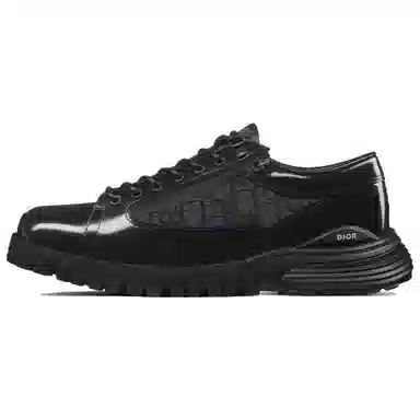 DIOR OBLIQUE