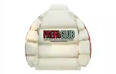 PAEFA logo