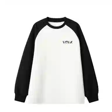 VGVX LOGO