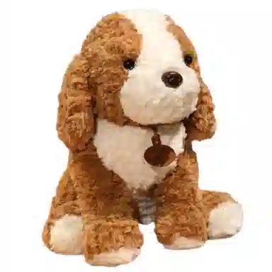 X2HOMME 35cm45cm60cm