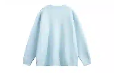 ROBINHOOD Cleanfit Sweater