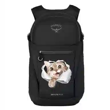 OSPREY20L Daylite Plus