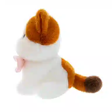 23cm