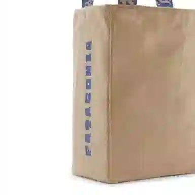 patagonia tote