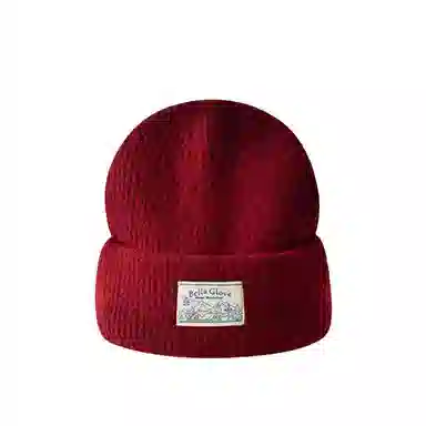 艾佳微 户外日常通勤韩系贴布毛线针织帽保暖护耳防寒套头冷帽小众 腈纶 绒线帽 男女同款情侣款