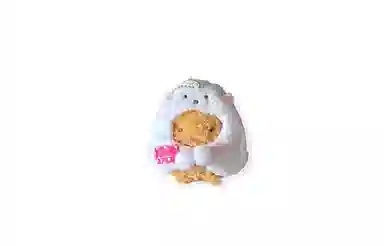 JOYDINNY ins