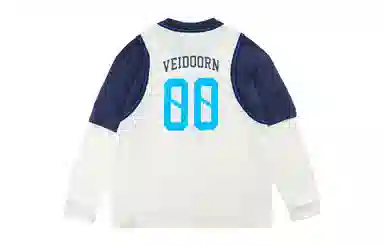 VEIDOORN T