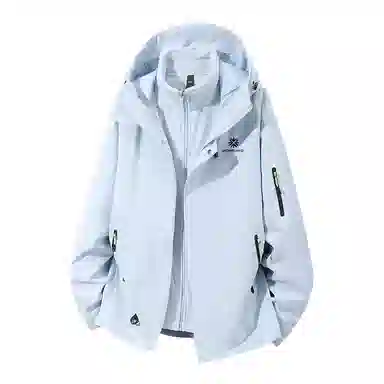 SNOW FLYING 1.0 Logo