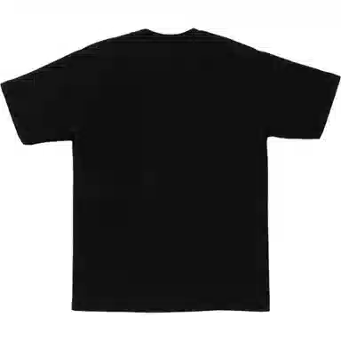 A BATHING APE FW25 T