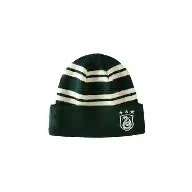 Champion x Harry Potter Striped Beanie
