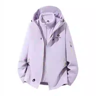 SNOW FLYING 1.0 Logo