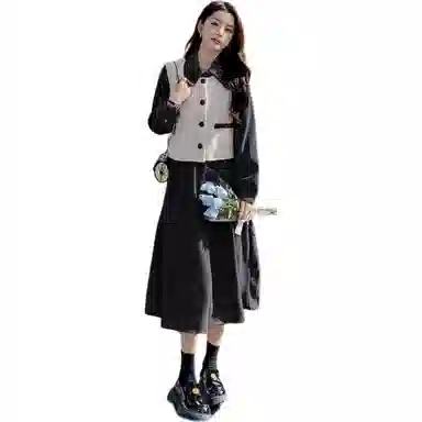 邦固依品 今年流行连衣裙女秋冬款美拉德穿搭马甲两件套遮肉显瘦裙子裙装套装 女款