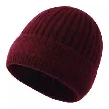 PIERRE CARDIN 100