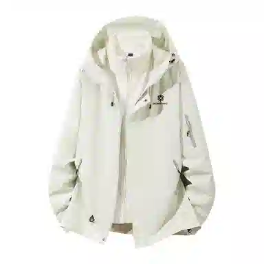 SNOW FLYING 1.0 Logo