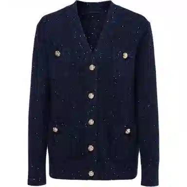 KARL LAGERFELD FW25 V