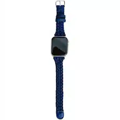 iwatchS11109876se