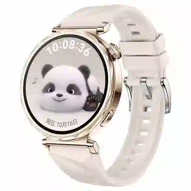 STEWPIGO Watch GT6GT5