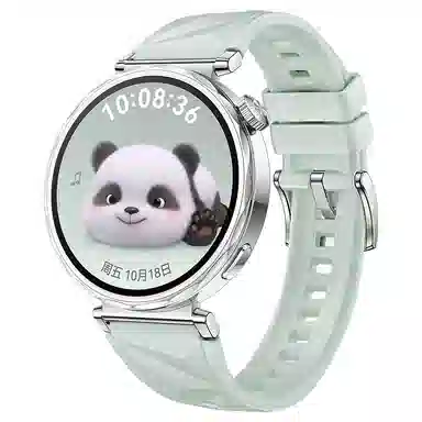 STEWPIGO Watch GT6GT5