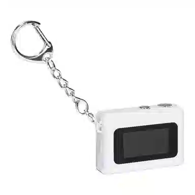 Supreme FW25 Week 7 Digital Camera Keychain -