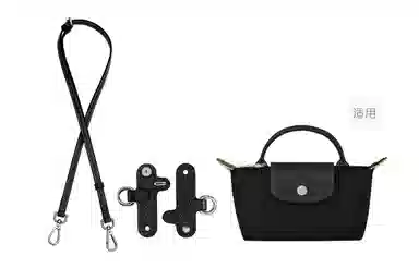 Longchamp Mini Crossbody