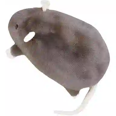 PENG JIA 20cm30cm50cm35cm90cm