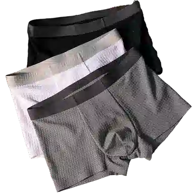 QTUR Ice Silk Men's Boxer Briefs