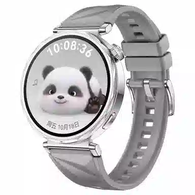 STEWPIGO Watch GT6GT5