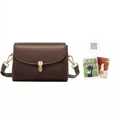 红蜻蜓 高级感气质百搭通勤 牛皮 单肩斜挎包 常规 女款 棕色/咖啡色