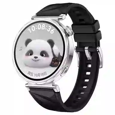 STEWPIGO Watch GT6GT5