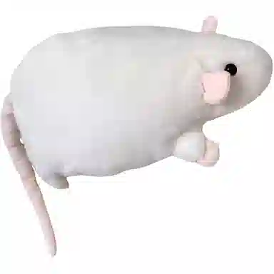 PENG JIA 20cm30cm50cm35cm90cm